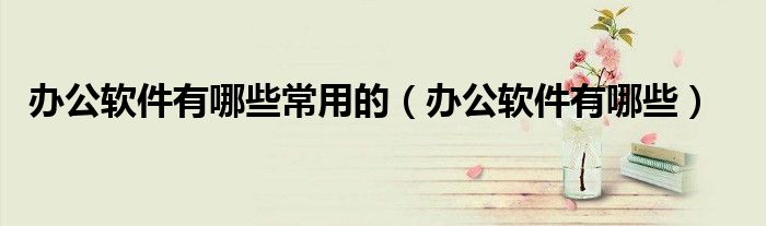 办公软件有哪些常用的（办公软件有哪些）