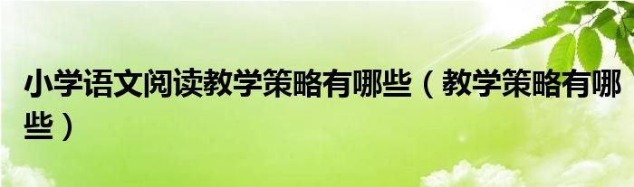 小学语文阅读教学策略有哪些（教学策略有哪些）