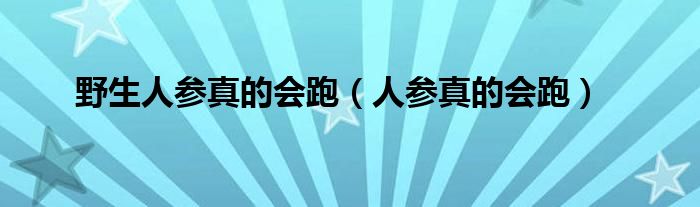 野生人参真的会跑（人参真的会跑）