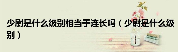 少尉是什么级别相当于连长吗（少尉是什么级别）
