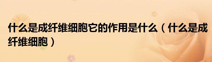 什么是成纤维细胞它的作用是什么（什么是成纤维细胞）