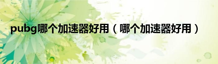 pubg哪个加速器好用（哪个加速器好用）
