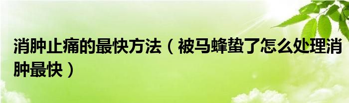 消肿止痛的最快方法（被马蜂蛰了怎么处理消肿最快）