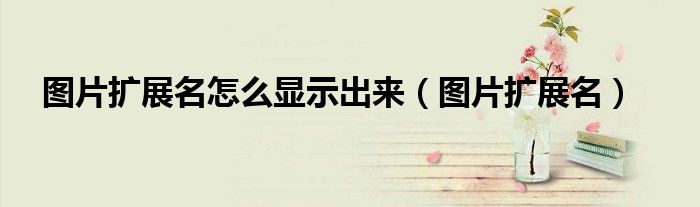 图片扩展名怎么显示出来（图片扩展名）