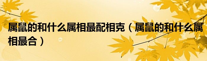 属鼠的和什么属相最配相克（属鼠的和什么属相最合）