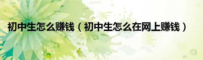 初中生怎么赚钱（初中生怎么在网上赚钱）