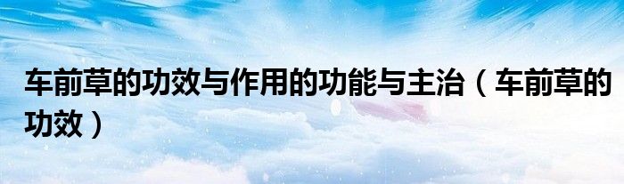 车前草的功效与作用的功能与主治（车前草的功效）