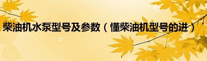 柴油机水泵型号及参数（懂柴油机型号的进）