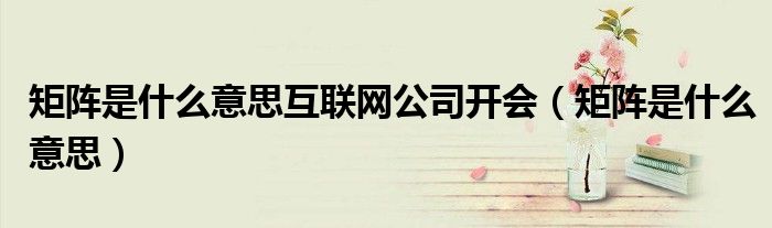 矩阵是什么意思互联网公司开会（矩阵是什么意思）