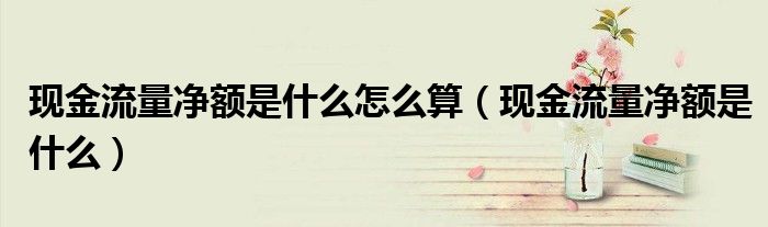 现金流量净额是什么怎么算（现金流量净额是什么）