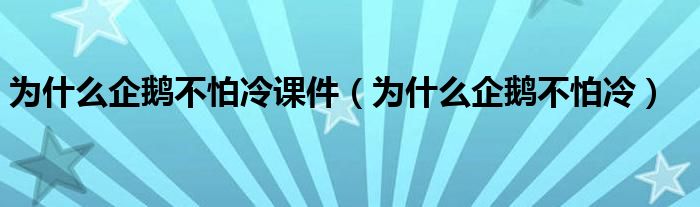 为什么企鹅不怕冷课件（为什么企鹅不怕冷）