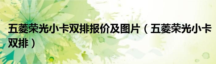 五菱荣光小卡双排报价及图片（五菱荣光小卡双排）