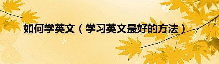 如何学英文（学习英文最好的方法）