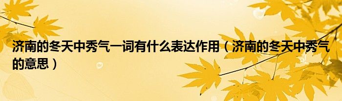 济南的冬天中秀气一词有什么表达作用（济南的冬天中秀气的意思）