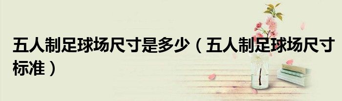 五人制足球场尺寸是多少（五人制足球场尺寸标准）