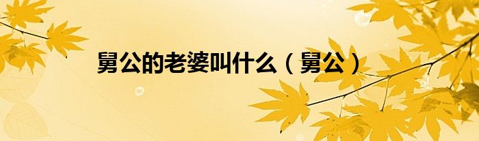 舅公的老婆叫什么（舅公）