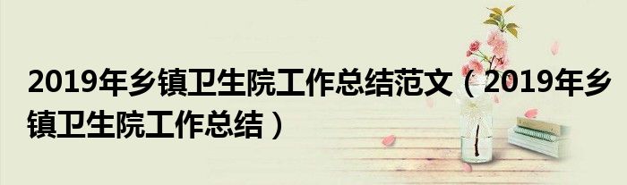 2019年乡镇卫生院工作总结范文（2019年乡镇卫生院工作总结）