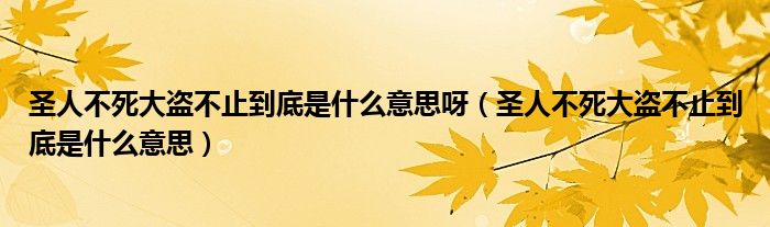圣人不死大盗不止到底是什么意思呀（圣人不死大盗不止到底是什么意思）