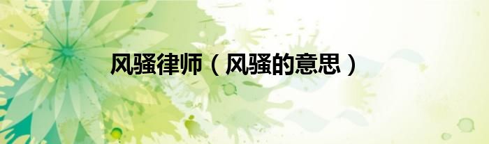 风骚律师（风骚的意思）