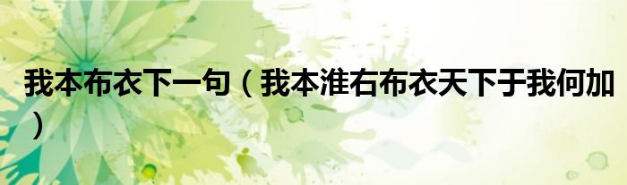我本布衣下一句（我本淮右布衣天下于我何加）