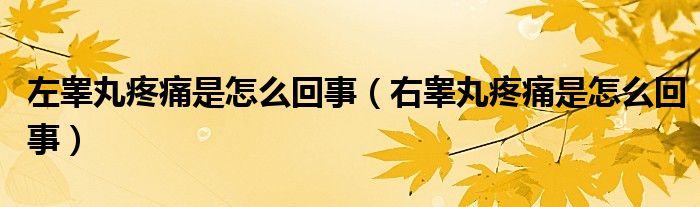 左睾丸疼痛是怎么回事（右睾丸疼痛是怎么回事）