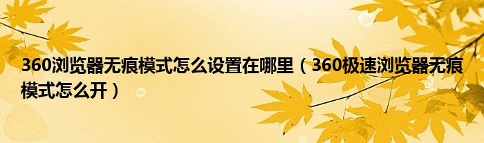 360浏览器无痕模式怎么设置在哪里（360极速浏览器无痕模式怎么开）