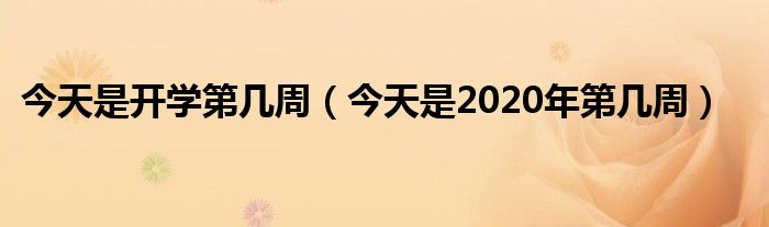 今天是开学第几周（今天是2020年第几周）