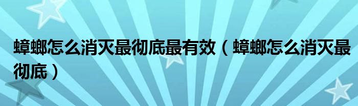 蟑螂怎么消灭最彻底最有效（蟑螂怎么消灭最彻底）