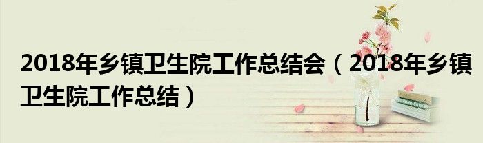 2018年乡镇卫生院工作总结会（2018年乡镇卫生院工作总结）