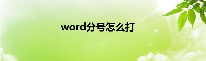 word分号怎么打