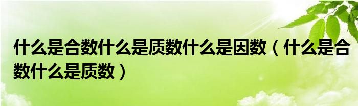 什么是合数什么是质数什么是因数（什么是合数什么是质数）