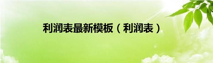 利润表最新模板（利润表）