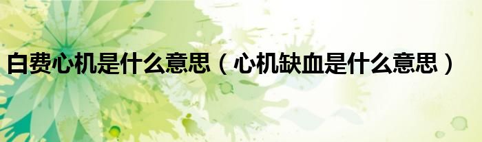 白费心机是什么意思（心机缺血是什么意思）
