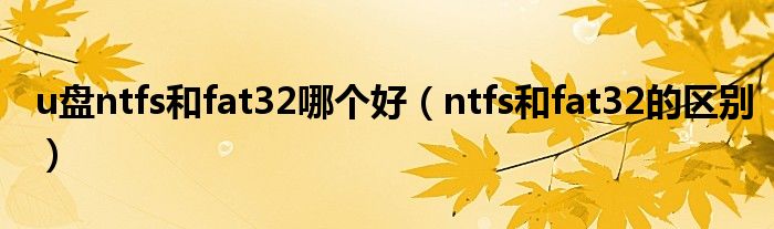 u盘ntfs和fat32哪个好（ntfs和fat32的区别）