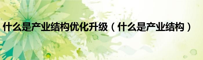 什么是产业结构优化升级（什么是产业结构）