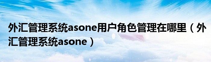 外汇管理系统asone用户角色管理在哪里（外汇管理系统asone）