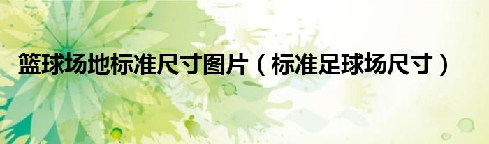 篮球场地标准尺寸图片（标准足球场尺寸）