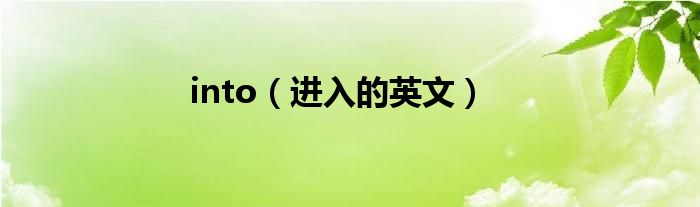 into（进入的英文）