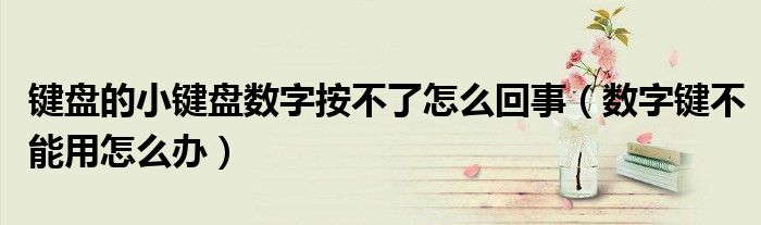 键盘的小键盘数字按不了怎么回事（数字键不能用怎么办）