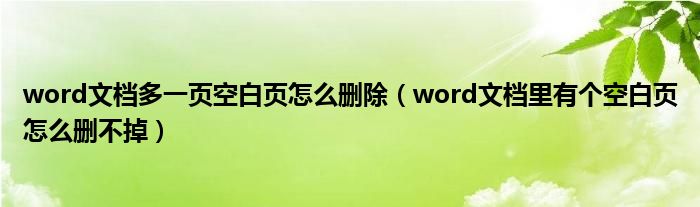 word文档多一页空白页怎么删除（word文档里有个空白页怎么删不掉）