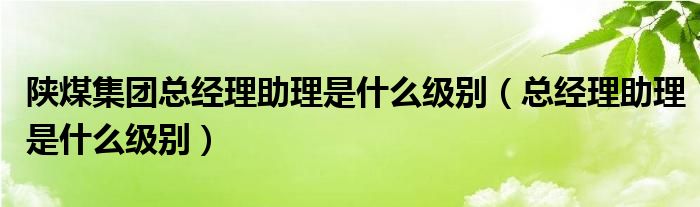 陕煤集团总经理助理是什么级别（总经理助理是什么级别）