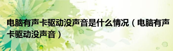 电脑有声卡驱动没声音是什么情况（电脑有声卡驱动没声音）