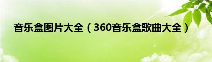 音乐盒图片大全（360音乐盒歌曲大全）