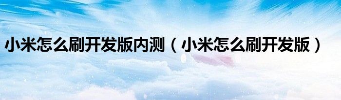 小米怎么刷开发版内测（小米怎么刷开发版）