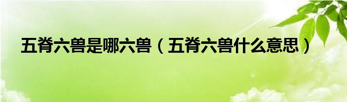 五脊六兽是哪六兽（五脊六兽什么意思）