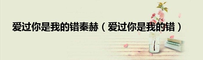 爱过你是我的错秦赫（爱过你是我的错）