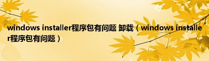 windows installer程序包有问题 卸载（windows installer程序包有问题）