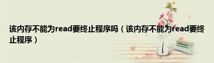该内存不能为read要终止程序吗（该内存不能为read要终止程序）