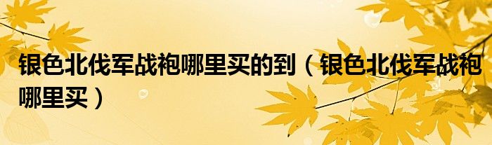 银色北伐军战袍哪里买的到（银色北伐军战袍哪里买）