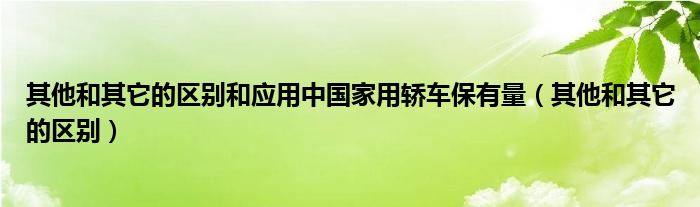 其他和其它的区别和应用中国家用轿车保有量（其他和其它的区别）